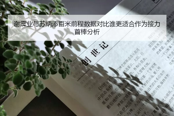 谢震业与苏炳添百米前程数据对比谁更适合作为接力首棒分析