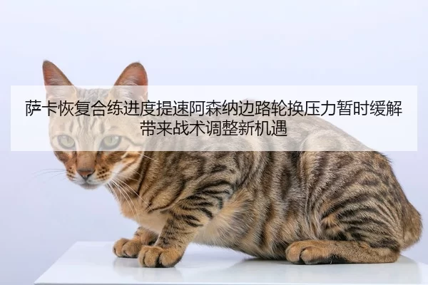 萨卡恢复合练进度提速阿森纳边路轮换压力暂时缓解带来战术调整新机遇
